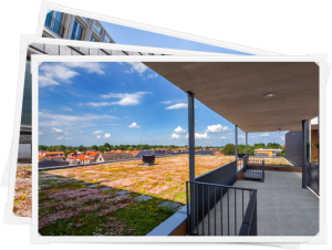 cityroofs_sfeer