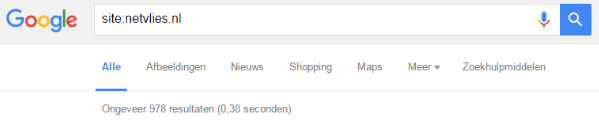 Voorbeeld Netvlies SEO zoeken op websites