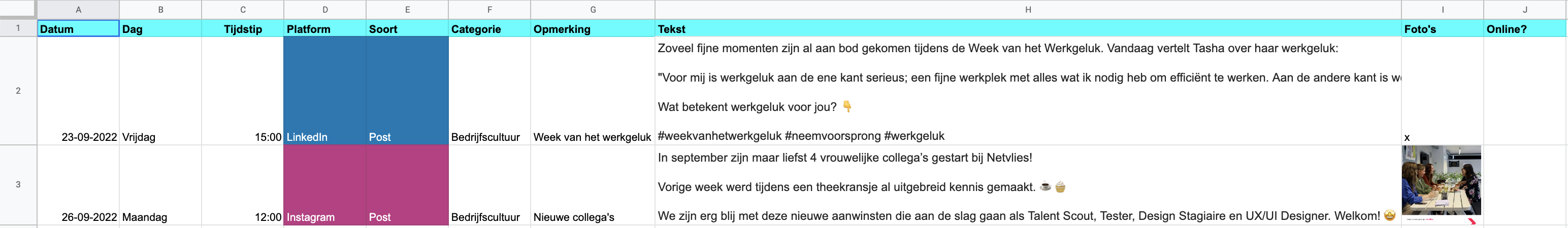 Voorbeeld van een social content kalender in Excel