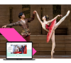 Nationale Opera & Ballet nieuwe website en foto van ballet dansers